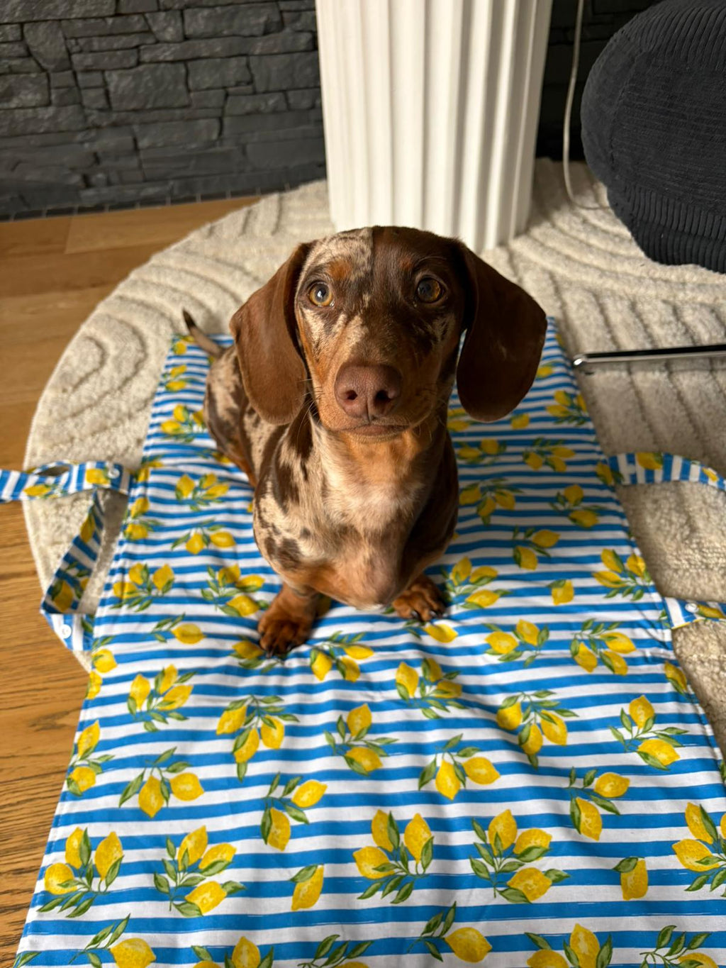 Tapis nomade - Citronnade