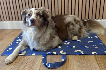 Tapis nomade - Pulco
